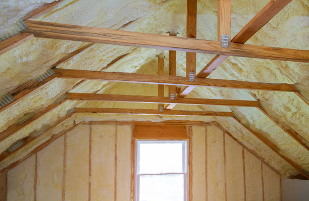 Best Insulation Inspection Services  in Aldine, TX