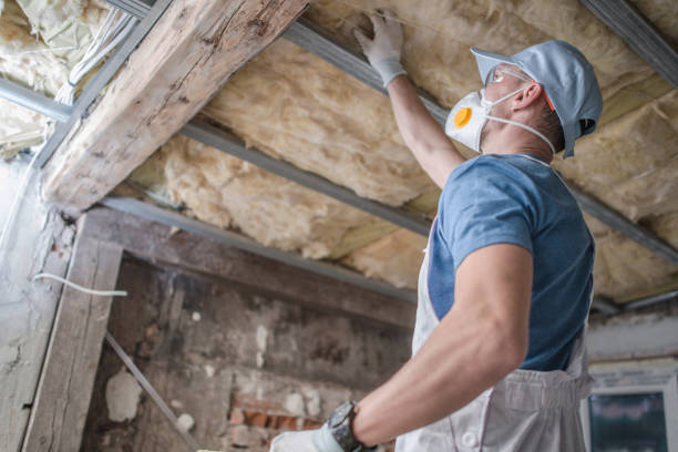 Best Attic Insulation Installation  in Aldine, TX