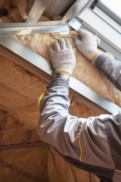 Best Insulation Inspection Services  in Aldine, TX