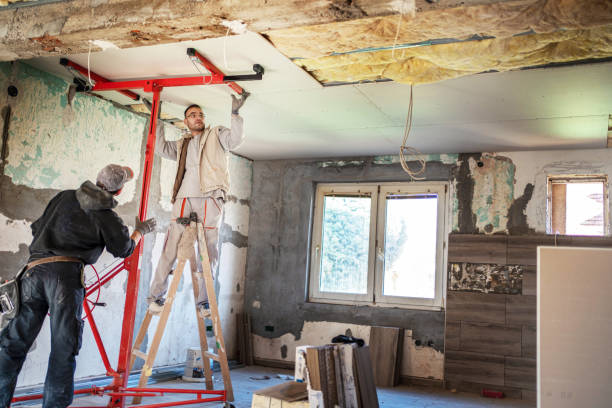 Best Spray Foam Insulation  in Aldine, TX