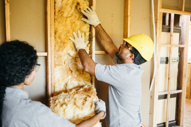 Best Insulation for New Construction  in Aldine, TX