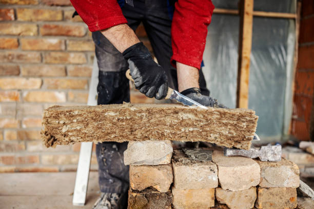Best Spray Foam Insulation  in Aldine, TX