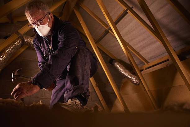Best Blown-in Insulation  in Aldine, TX